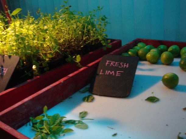 Make Your Own Mojito Venue