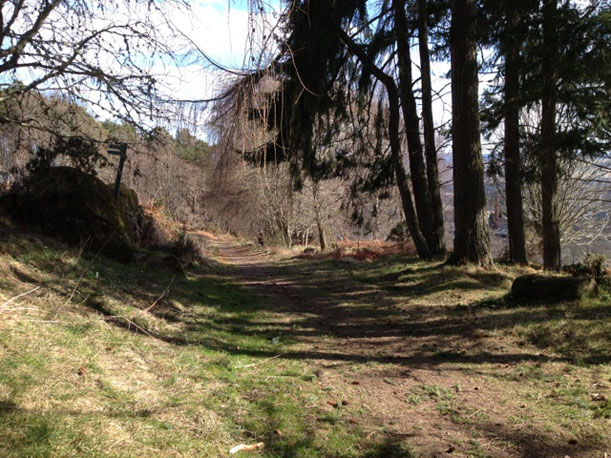 Highland forestry track